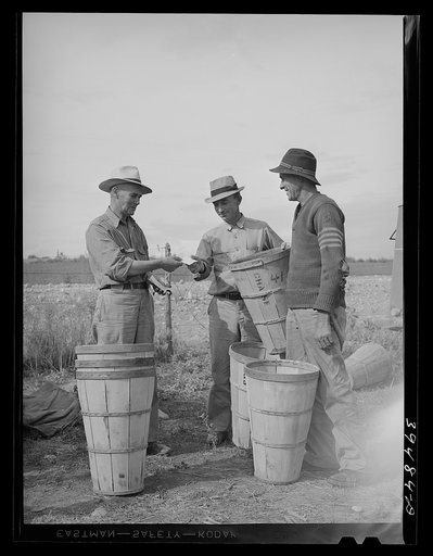 Pea pickers getting slip as they check in hampers of peas. Canyon County, Idaho. This is part of the contractor's pea picking outfit
