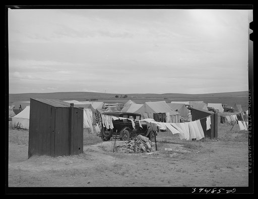 Privies at the contractor's pea pickers camp. Canyon County, Idaho. Contractors are responsible for renting campsite and providing water, sanitary facilities, etc.