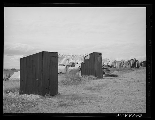 Privies at the contractor's pea pickers camp. Canyon County, Idaho. Contractor is responsible for renting camp site, sanitary facilities, etc.