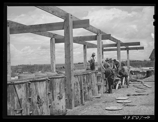 Irrigation tile. Canyon County, Idaho