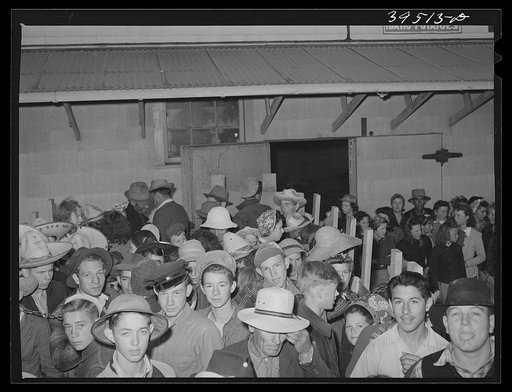 High school boys and girls in trucks going to pick peas. Nampa, Canyon County, Idaho. No one under fifteen years of age was hired