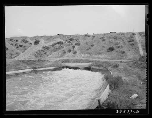 Irrigation water coming from Deer Flat Reservoir. Canyon County, Idaho