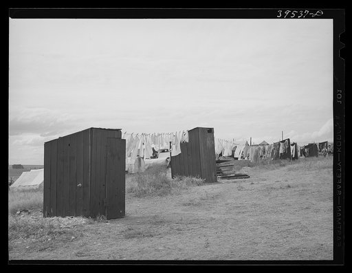 Untitled photo, possibly related to: Privies at the contractor's pea pickers camp. Canyon County, Idaho. Contractor is responsible for renting camp site, sanitary facilities, etc.