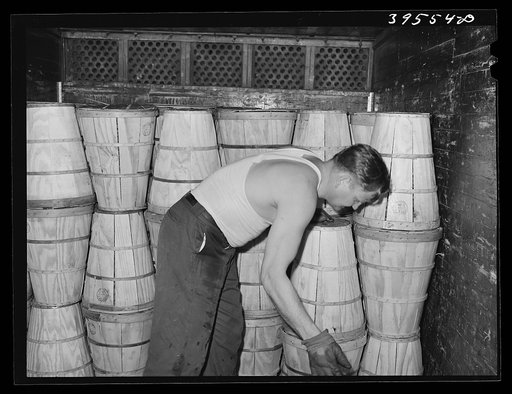 Stacks of crates which will be used for shipping peas. Canyon County, Idaho