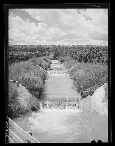 Untitled photo, possibly related to: Lateral irrigation ditch in orchard. Canyon County, Idaho