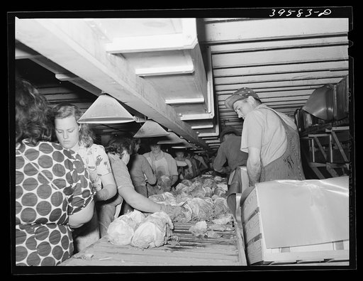 Grading and packing lettuce for shipment. Canyon County, Idaho