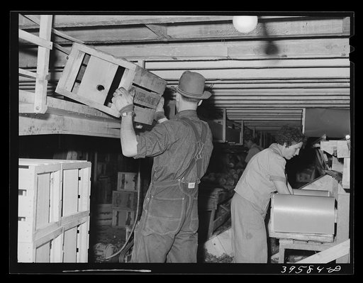 In the lettuce packing plant. Canyon County, Idaho