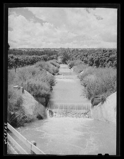 Lateral irrigation ditch in orchard. Canyon County, Idaho