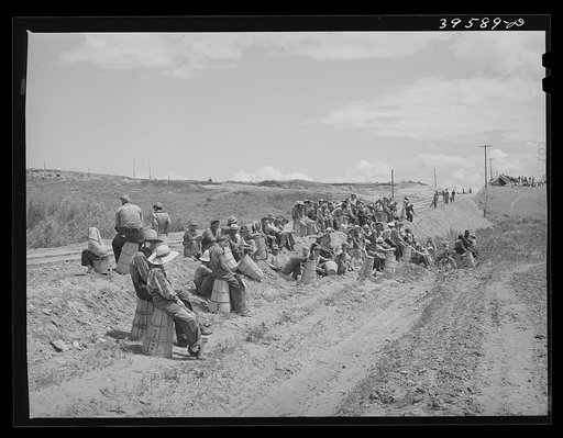 Pea pickers (labor contractor's crew) waiting to start work in the fields. Canyon County, Idaho