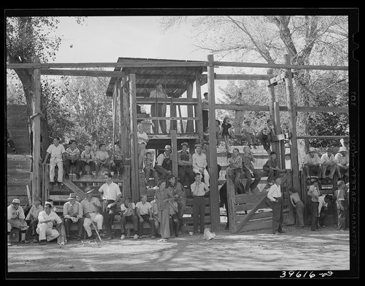 Spectators at kids' contests at the Fourth of July celebration at Vale, Oregon
