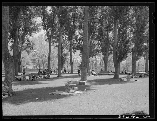 Picnicking in the shade. Fourth of July, Vale, Oregon