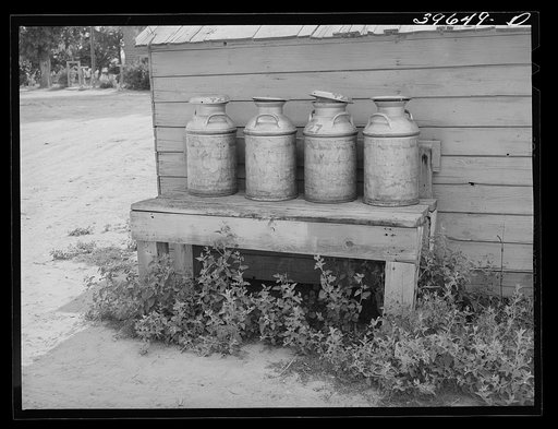 Milk cans on farm of member of the Dairymen's Cooperative Creamery. Caldwell, Canyon County, Idaho. The slogan of the co-op has been "Every Member a Fieldman"
