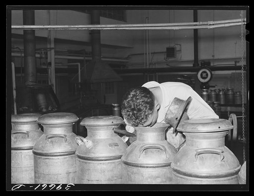 Tester smelling cream to determine its freshness. Dairymen's Cooperative Creamery, Caldwell, Canyon County, Idaho