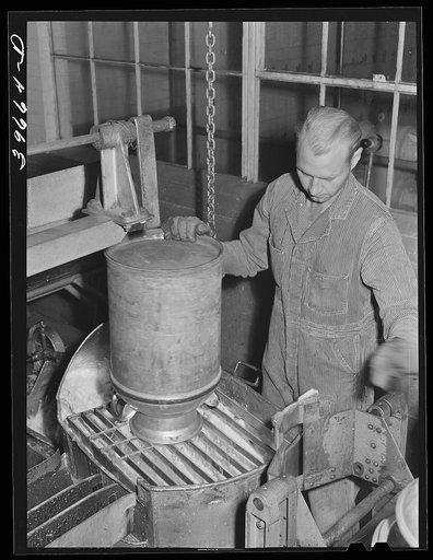 Dumping milk into container where it will be weighed and the weight automatically recorded at the Dairymen's Cooperative Creamery. Caldwell, Canyon, Idaho