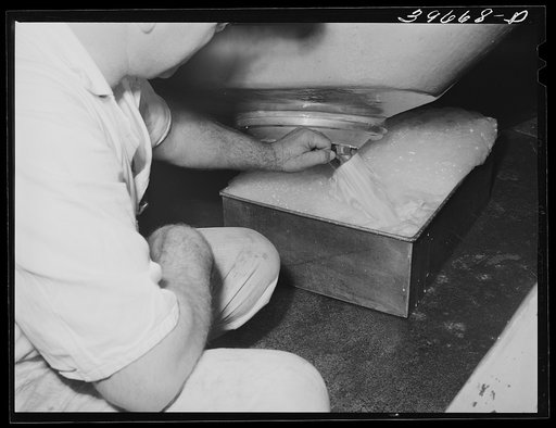 Draining off buttermilk from churn at the Dairymen's Cooperative Creamery. Caldwell, Canyon County, Idaho. The buttermilk is dried and marketed as feed