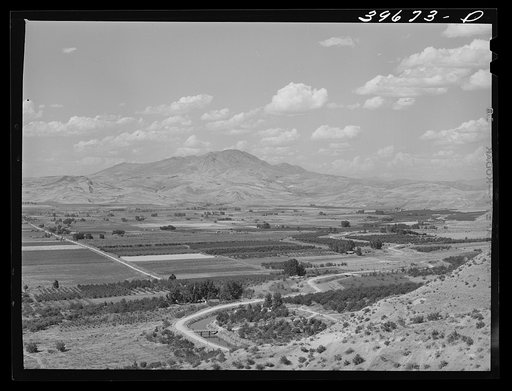Cherry orchards at Emmett, Gem County, Idaho. Notice the wide irrigation ditches. Water for irrigation is supplied by the Black Canyon Reservoir