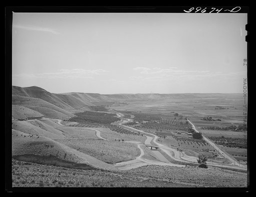 Cherry orchards at Emmett, Gem County, Idaho. Notice the wide irrigation ditches. Water for irrigation is supplied by the Black Canyon Reservoir