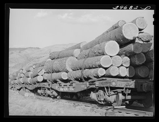 Logs on flat cars at Cascade, Idaho. The state of Idaho now has about 81 billion feet of old growth lumber standing, 8.8 percent is owned by the State; 30.3 percent privately owned and 60.9 percent by the federal government