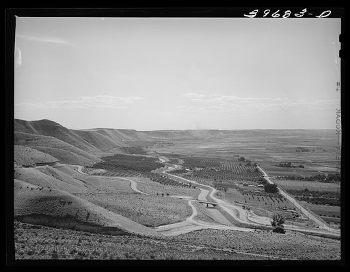 Untitled photo, possibly related to: Cherry orchards at Emmett, Gem County, Idaho. Notice the wide irrigation ditches. Water for irrigation is supplied by the Black Canyon Reservoir