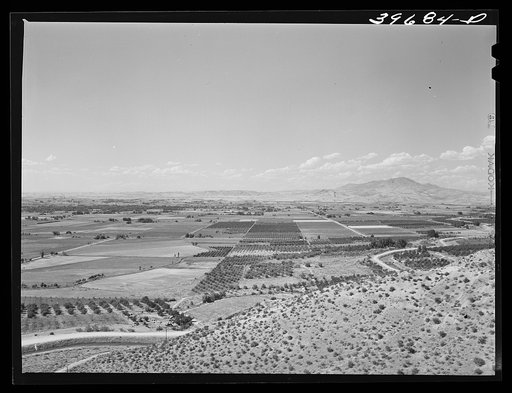 Farming land and cherry orchards. Emmett, Gem County, Idaho