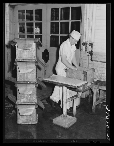 Lining tub with oiled paper before packing butter into it. Dairymen's Cooperative Creamery. Caldwell, Canyon County, Idaho