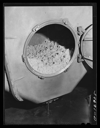 Butter in churn at the Dairymen's Cooperative Creamery. Caldwell, Canyon County, Idaho