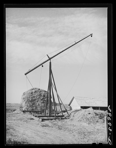 Hay stacker and hay stack on farm of member of the Dairymen's Cooperative Creamery. Caldwell, Canyon County, Idaho