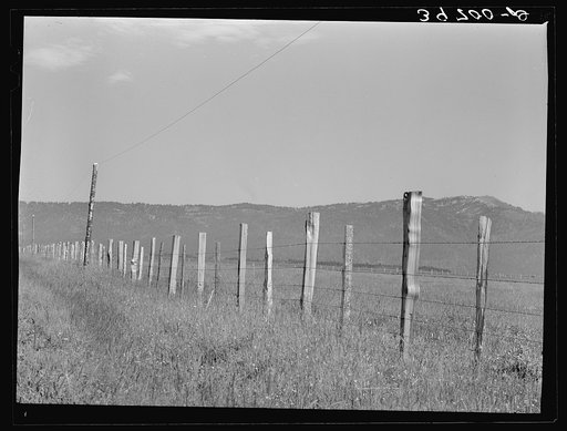 Fence on Cruzen Ranch. Valley County, Idaho. This fence has been singled out by AAA (Agricultural Adjustment Administration) as a desirable type for cattle ranches. Mr. Cruzen is not on the AAA program, but the AAA has been most interested in some of the practices on his ranch