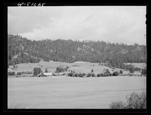 Untitled photo, possibly related to: Farmland and farmstead. Garden Valley, Boise County, Idaho