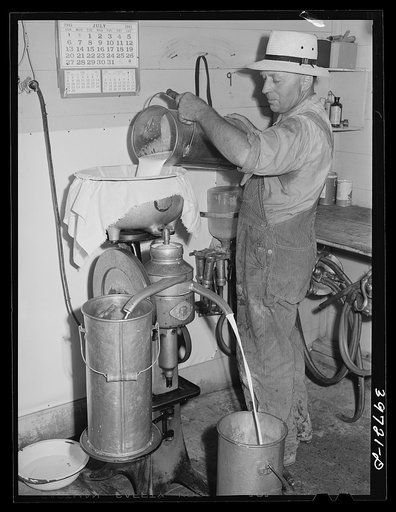 Member of the Dairymen's Cooperative Creamery uses cream separator on his farm. Caldwell, Canyon County, Idaho