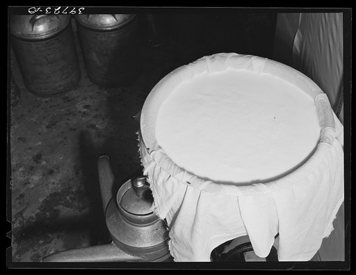 Cheese cloth strainer over milk cans on farm of member of the Dairymen's Cooperative Creamery. Caldwell, Canyon County, Idaho