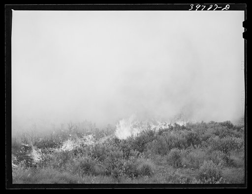 Detail of grass fire in Canyon County, Idaho