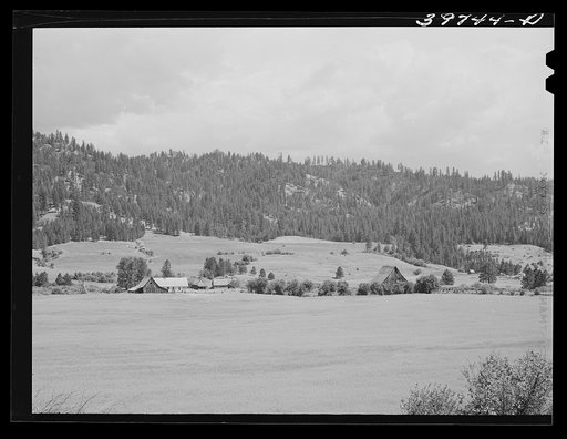 Farmland and farmstead. Garden Valley, Boise County, Idaho