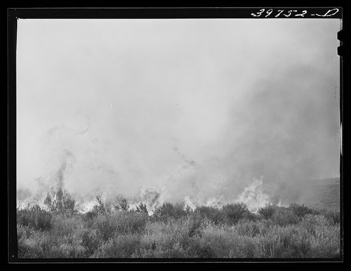 Untitled photo, possibly related to: Detail of grass fire in Canyon County, Idaho