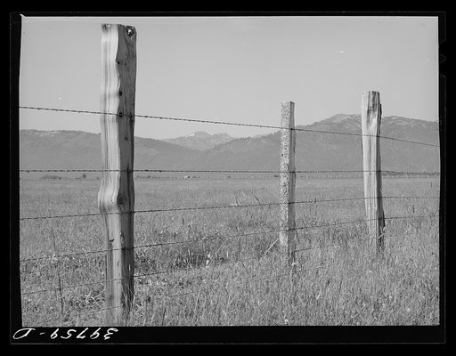 Fence on Cruzen Ranch. Valley County, Idaho