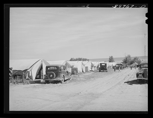 Tents at the FSA (Farm Security Administration) migratory farm labor camp mobile unit. Athena, Oregon