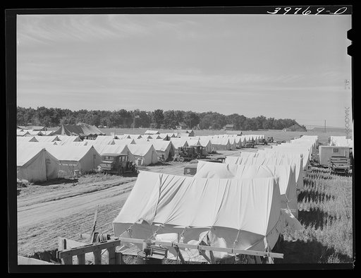 Tents at the FSA (Farm Security Administration) migratory farm labor camp mobile unit. Athena, Oregon