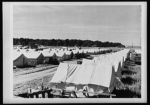 Tents at the FSA (Farm Security Administration) migratory farm labor camp mobile unit. Athena, Oregon