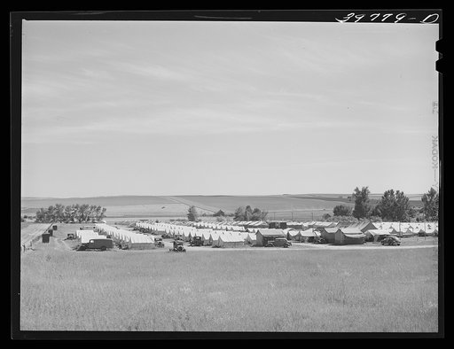 Untitled photo, possibly related to: FSA (Farm Security Administration) migratory farm labor camp mobile unit. Athena, Oregon