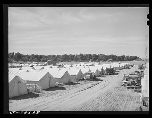 Untitled photo, possibly related to: Rows of tents at the FSA (Farm Security Administration) migratory farm labor camp mobile unit. Athena, Oregon