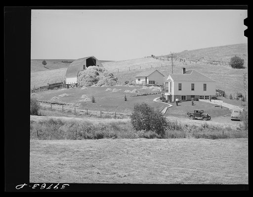 Untitled photo, possibly related to: Farmstead. Lewis County, Idaho. Hay piled in front barn was to be chopped and blown into barn and used during winter for stock feed