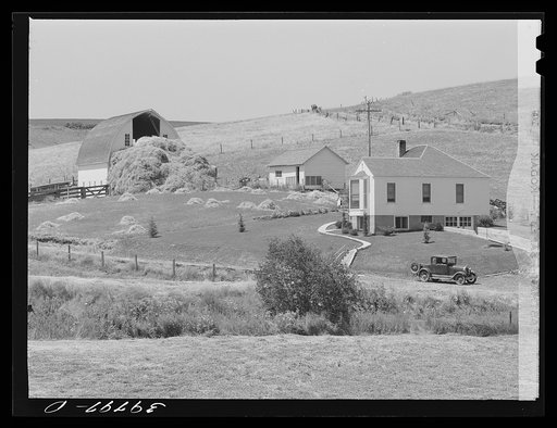 Farmstead. Lewis County, Idaho. Hay piled in front barn was to be chopped and blown into barn and used during winter for stock feed