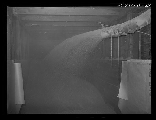 Untitled photo, possibly related to: Bulk wheat being blown into railroad car for shipment to Spokane. Walla Walla County, Washington