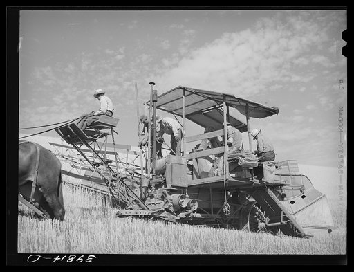 Combine which is drawn by a twenty-mule team. Walla Walla County, Washington