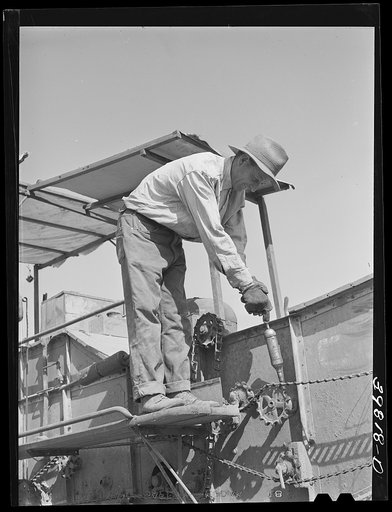 Greasing gear on mule-drawn combine. Walla Walla County, Washington