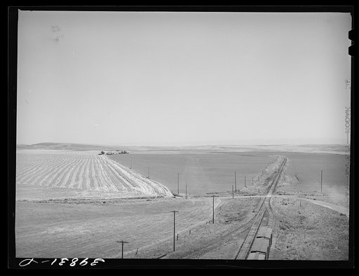 Wheat land and railroad. Eureka Flats, Walla Walla County, Washington