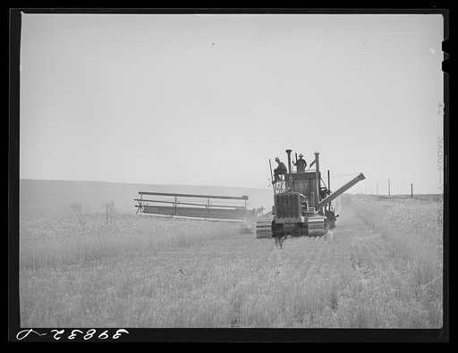 Tractor-drawn combine in wheat field on Eureka Flats. Walla Walla County, Washington