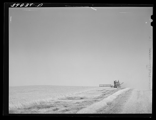 Tractor-drawn combine in wheat fields on Eureka Flats. Walla Walla County, Washington