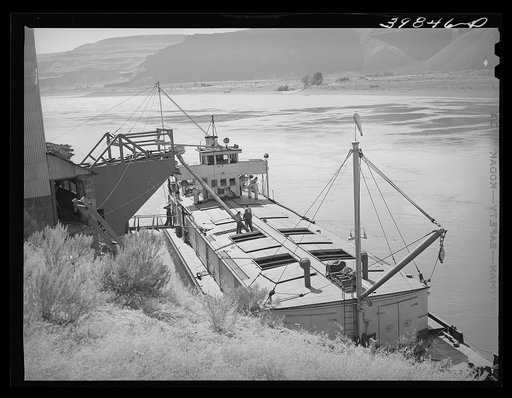 Loading bulk wheat into barge which will carry it down the Columbia River from Port Kelly to Portland, Walla Walla County, Washington