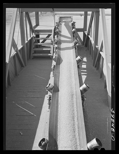 Untitled photo, possibly related to: Bulk wheat is delivered from combine to truck. Wheat on conveyer belt being taken from elevator to barge for shipment to Portland. Walla Walla County, Washington